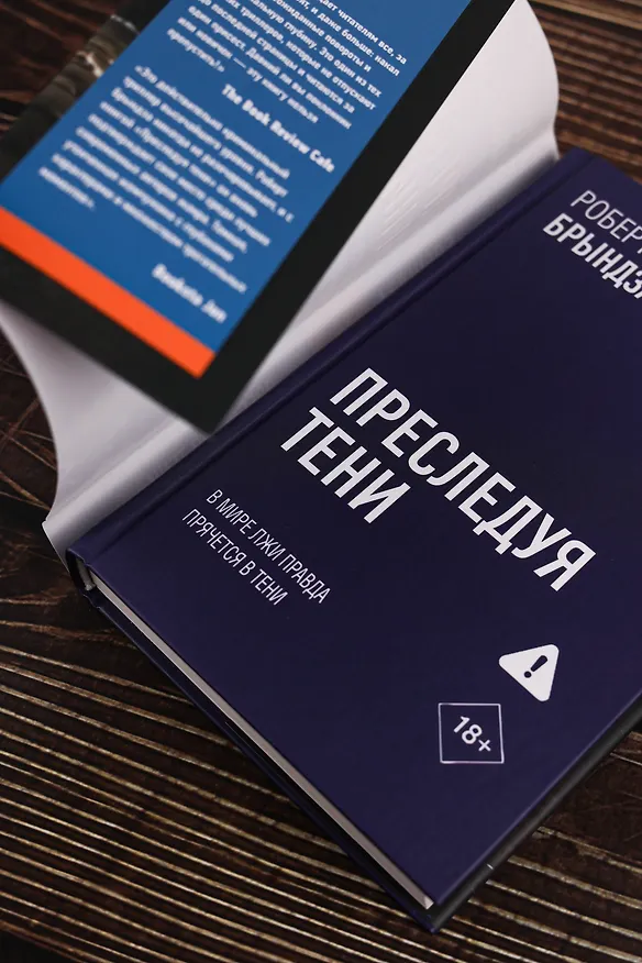Книга Преследуя тени (Роберт Брындза) — 11