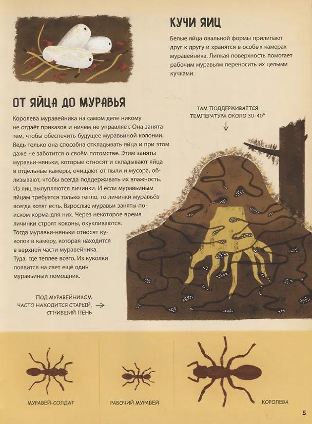 Книга Кто появляется на свет из яйца? (Маркета Новакова) — 5