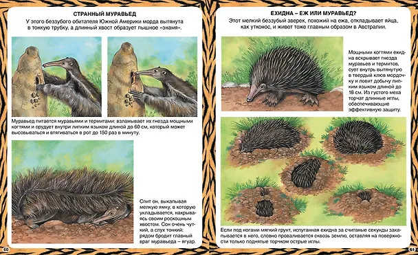 Книга Животные-рекордсмены (Эмили Бомон) — 7