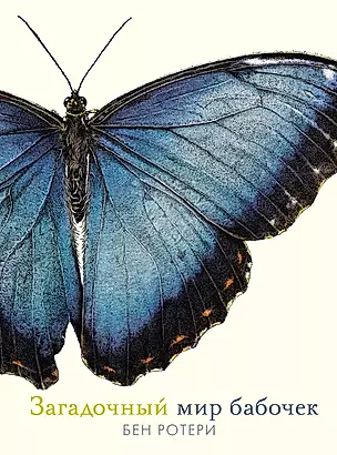 Загадочный мир бабочек — 2892829 — 1