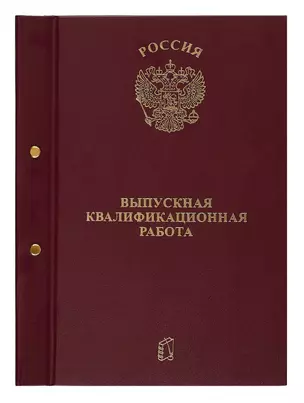 Папка Выпускная квалификационная работа бордо, с 2-мя отверстиями — 260373 — 1