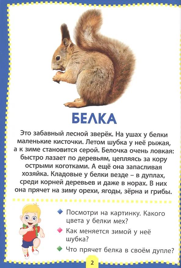 Книга Лесные животные. Фотокнига для самых маленьких () — 2