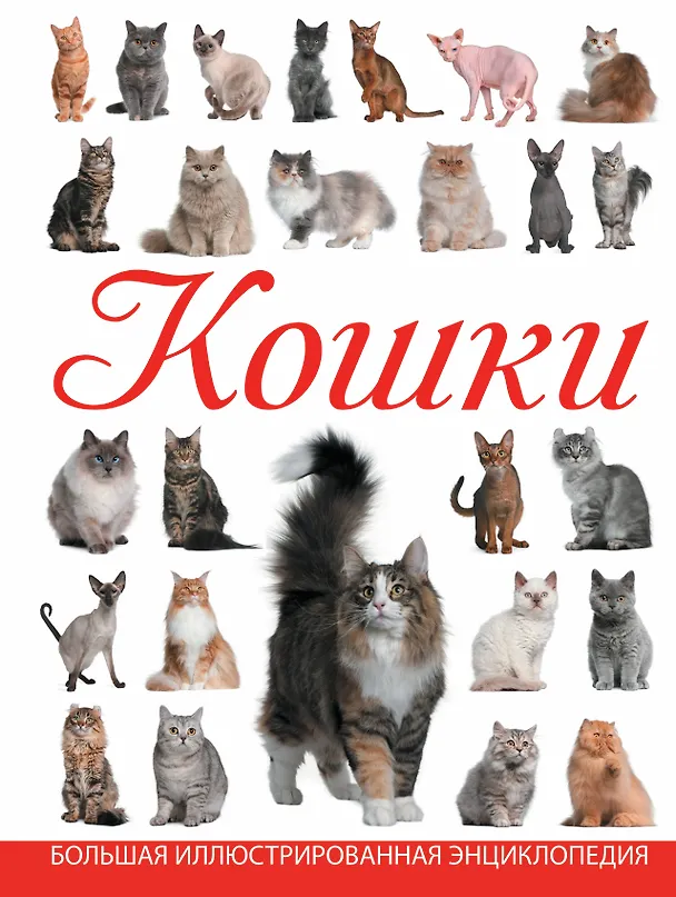 Книга Кошки (Дмитрий Смирнов) — 1