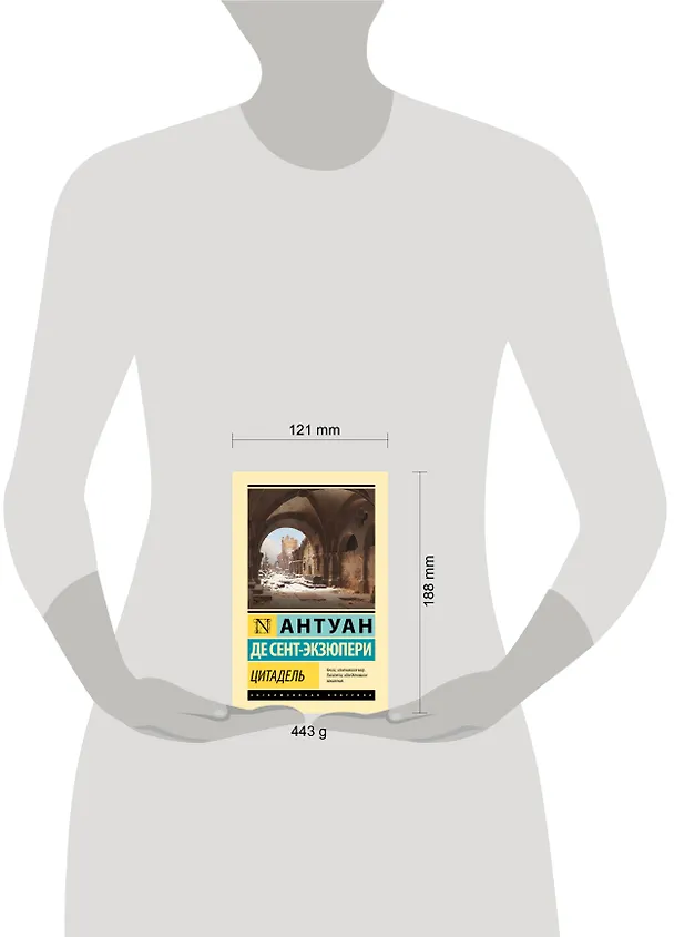 Книга Цитадель (Антуан де Сент-Экзюпери) — 10