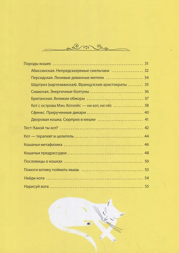 Книга А вот и кот (Паулина Вежба) — 3
