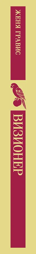 Книга Визионер (Женя Гравис) — 3