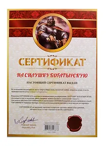 Сертификат «На силушку богатырскую», Мастер