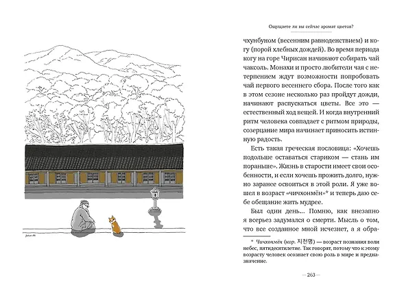 Книга Однажды ко мне пришел кот (Погён) — 9