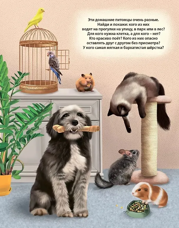 Книга 50 звуков. Животные (Марина Гагарина, Елена Писарева) — 2
