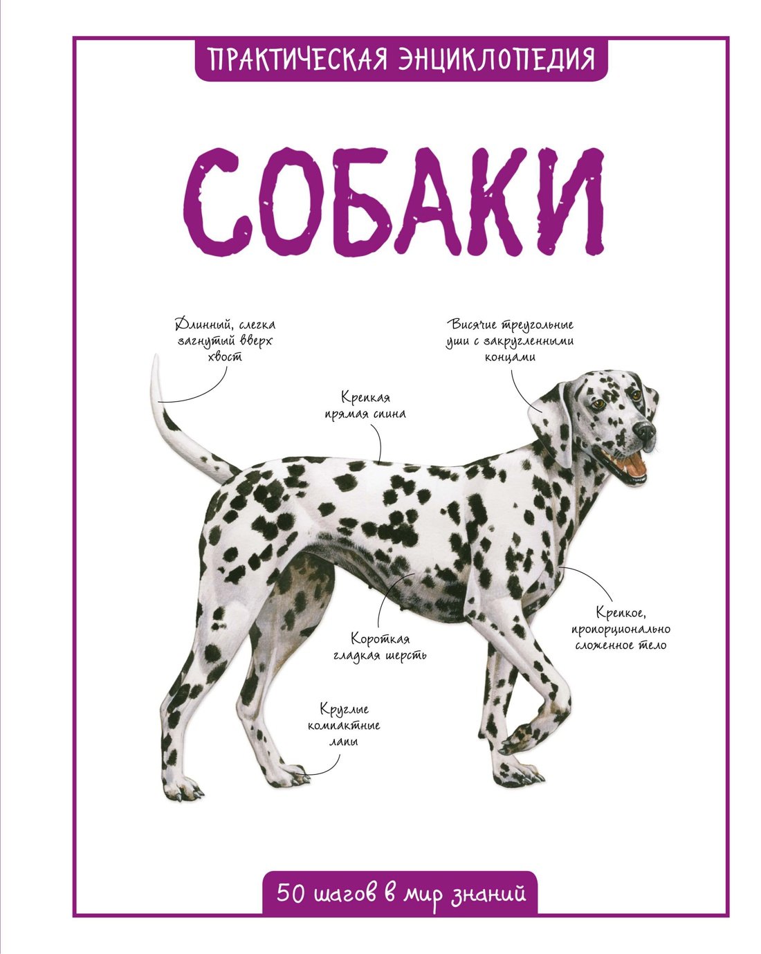 

Собаки