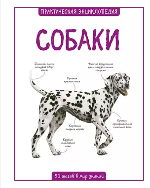 Собаки — 2564596 — 1