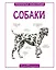 Собаки — 2564596 — 1