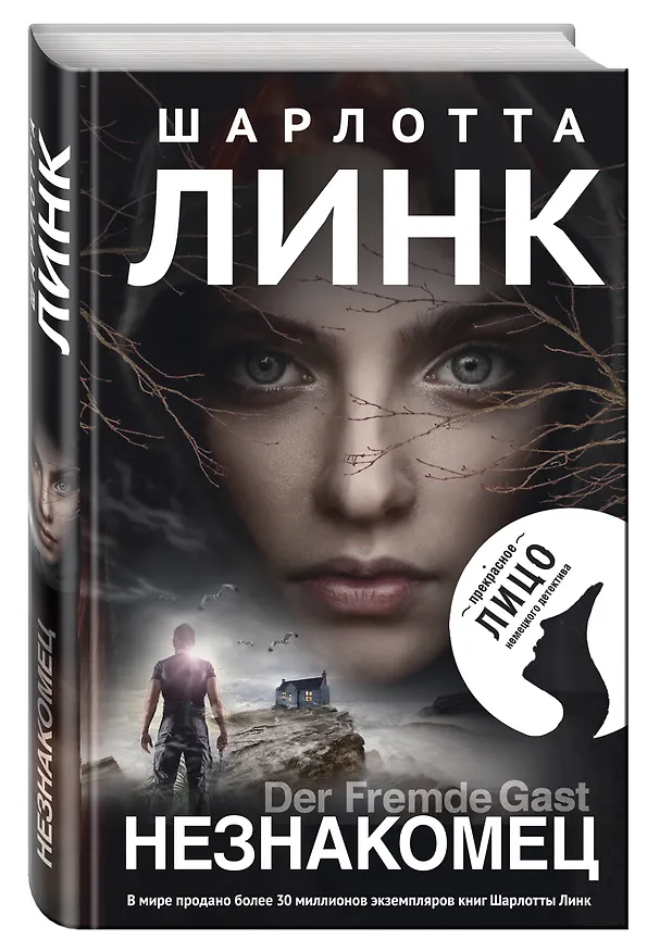 Книга Незнакомец (Шарлотта Линк) — 4