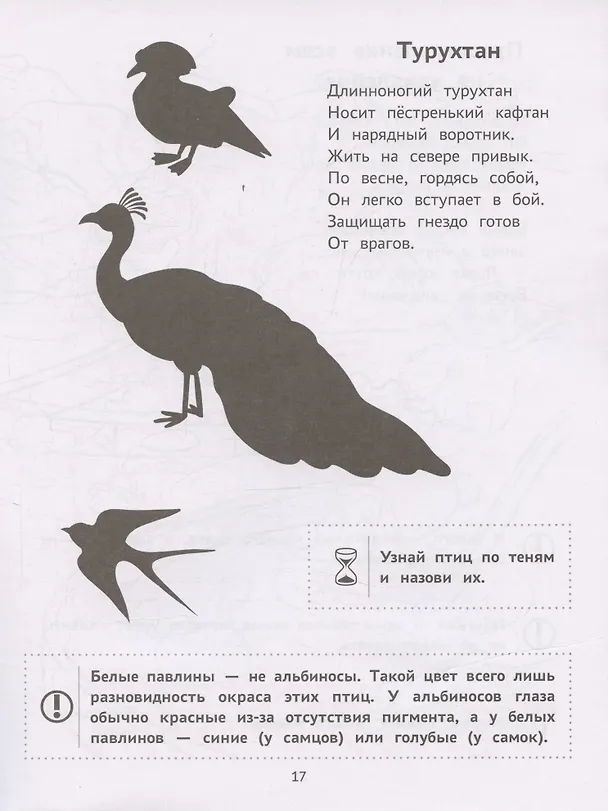 Книга Пойдем в зоопарк: виммельбух-прогулка с мышонком Ерошкой (Нина Агошкова) — 5