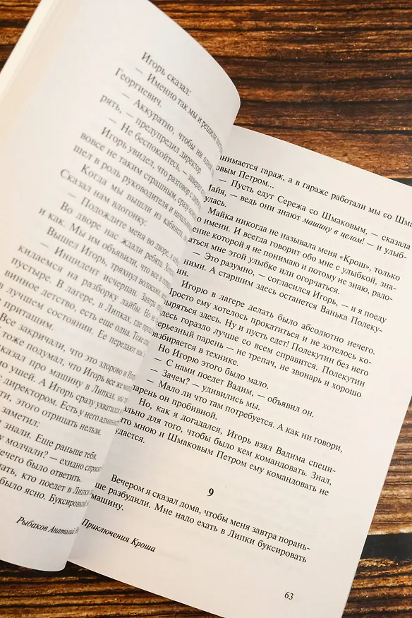 Книга Приключения Кроша. Каникулы Кроша. Неизвестный солдат (Анатолий Рыбаков) — 9