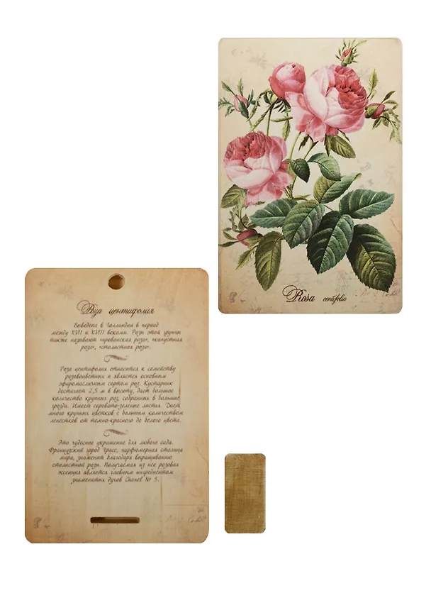 Плакетка Роза Центифолия (1PB_003) (18х12) 2508316 — 1