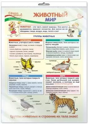 Плакат А3 в пакете Животный мир *ПО-13407 — 363515 — 1