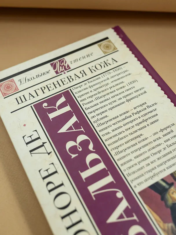 Книга Шагреневая кожа (Оноре де Бальзак) — 11