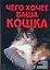 Чего хочет ваша кошка — 2147862 — 1