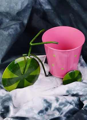 Кашпо декоративное металл Велосипед Зеленый арбуз (22х10х14) (43875) 2584188