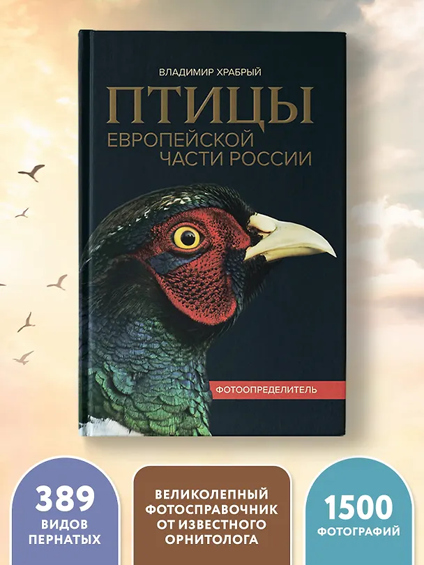Книга Птицы Европейской части России: фотоопределитель (Владимир Храбрый) — 7