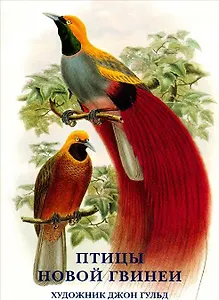 Птицы Новой Гвинеи. Набор открыток