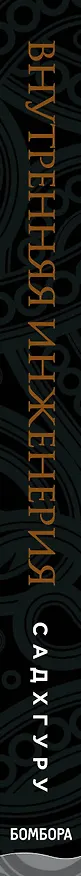 Книга Внутренняя инженерия. Путь к радости. Практическое руководство от йога. (бизнес) (Садхгуру) — 4