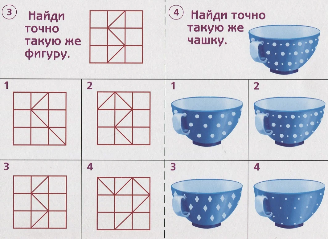 Готов ли ты к школе Память Тест. зад. для проверки знаний у детей (5-7л.)  (ЗвК) (папка) - купить книгу с доставкой в интернет-магазине «Читай-город».