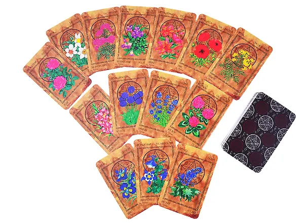 Книга Таро В долине цветов / In The Valley of Flowers Tarot (78 карт + инструкция на русском языке+ инструкция на английском языке) (Вера Петрук) — 3