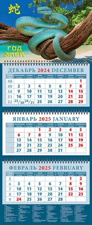 Календарь квартальный 2025г 320*760 "Год змеи 3" настенный, трёхблочный, спираль — 3053480 — 1