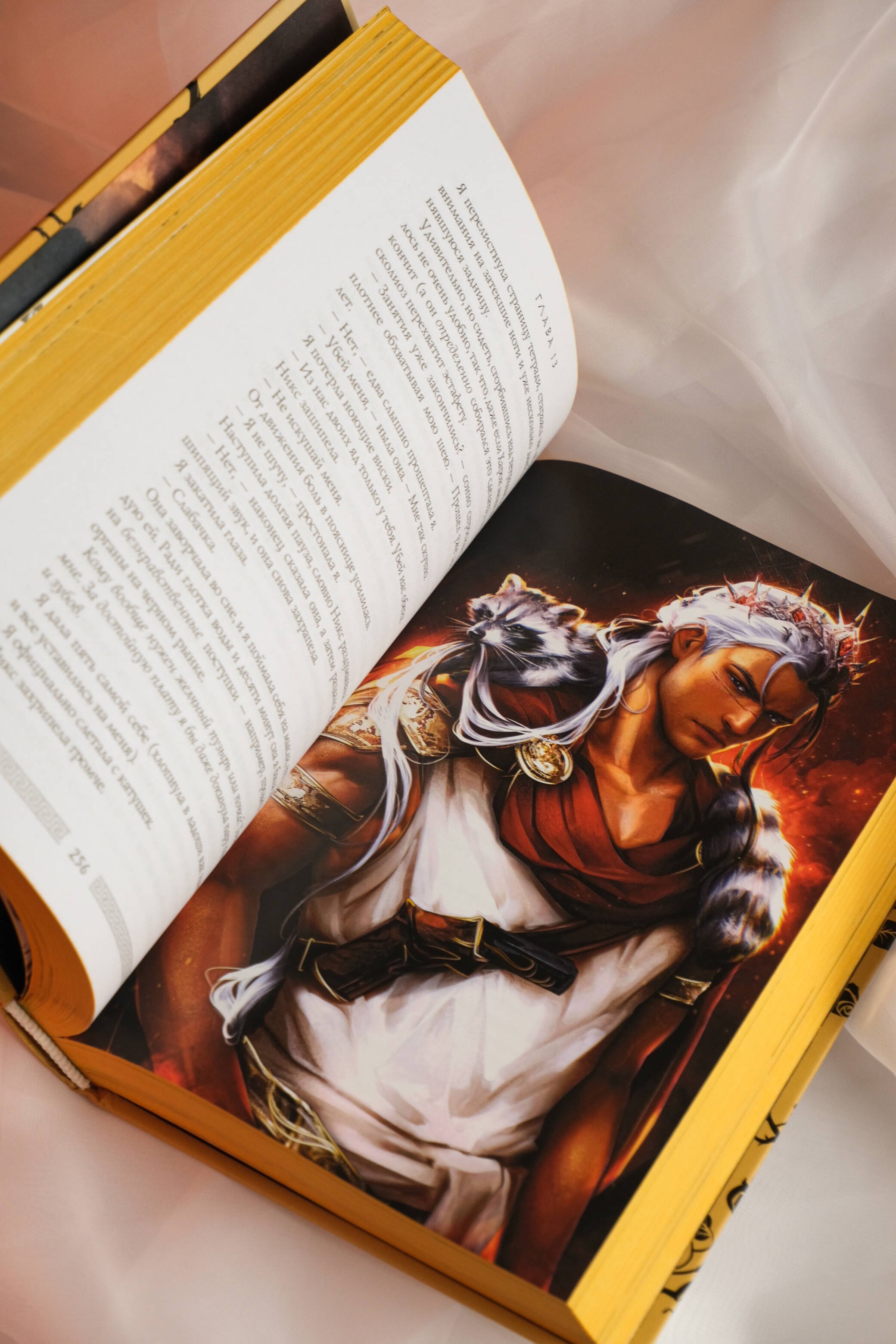 Изображение бумажной книги