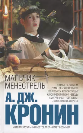 Мальчик-менестрель — 2416573 — 1