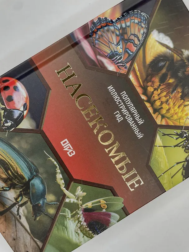 Книга Насекомые. Иллюстрированный гид (Анна Спектор) — 10