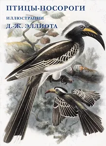 Птицы-носороги. Набор открыток