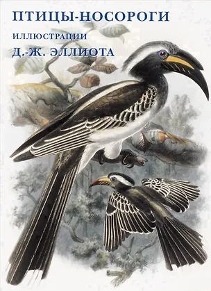 Книга Птицы-носороги. Набор открыток ()