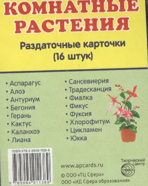 Дем. картинки СУПЕР Комнатные растения.16 раздаточных карточек с текстом (63х87мм) — 2463778 — 1