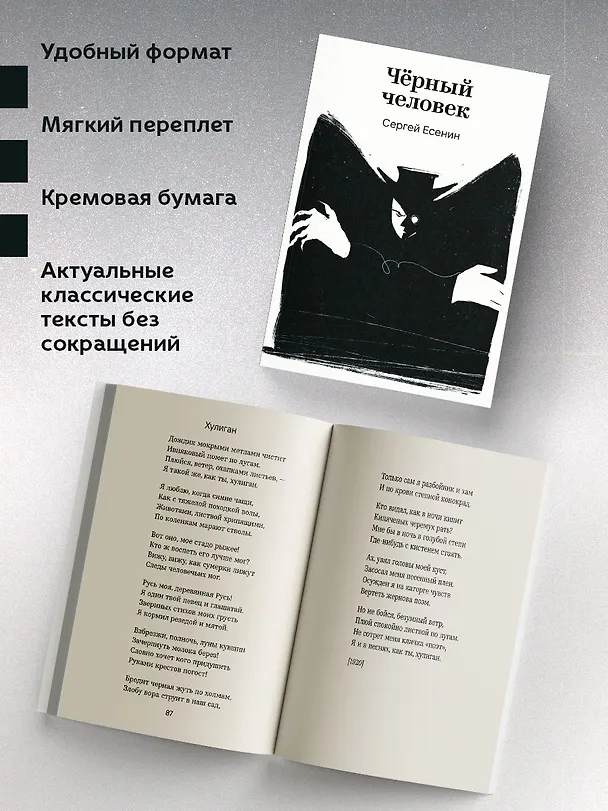Книга Черный человек (Сергей Есенин) — 6