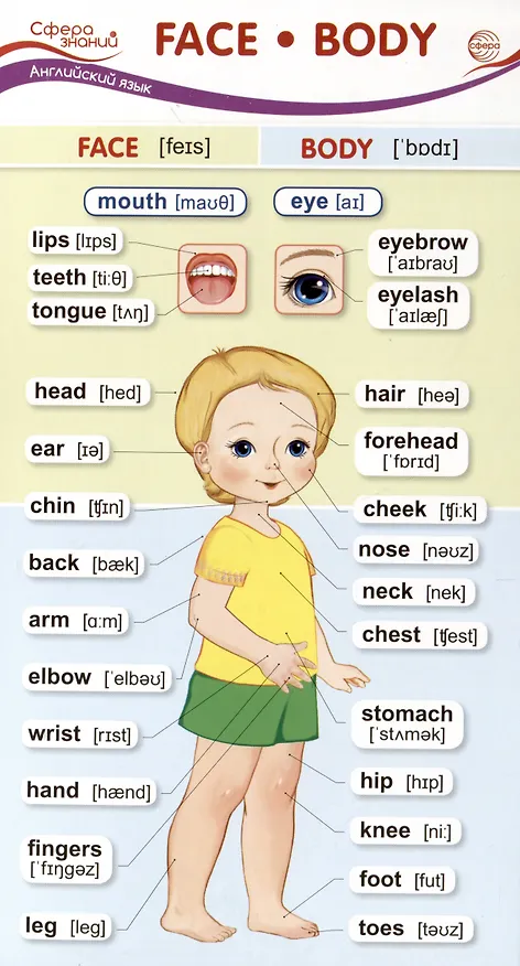 Книга Карточка-шпаргалка. Face-Body (Лицо-Тело) (110х205 мм) () — 1