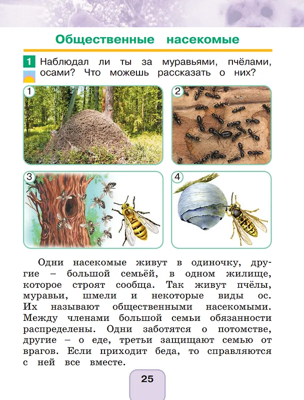Книга Окружающий мир. 1 класс. Учебное пособие. В 2 частях. Часть 2 (Ольга Поглазова, Виктор Шилин) — 3
