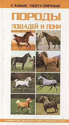 Самые популярные породы.лошадей — 2177343 — 1