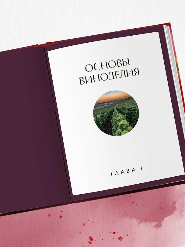 Книга Вино к еде. Искусство идеального сочетания (Елена Горбачева) — 10
