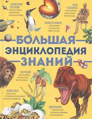 Книга Большая энциклопедия знаний (Брайан Вильямс)