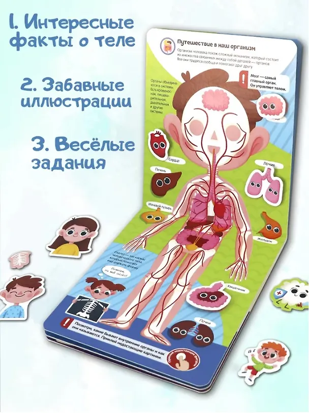 Книга Липучки. Моё тело (К. Кипенко) — 3