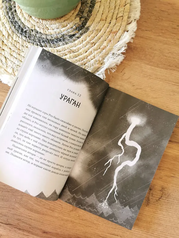 Книга Дикий робот (Paperback) (Питер Браун) — 11