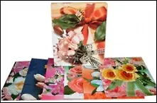 Пакет бумажный (OM-002C) (26х32х10) (Листопадова)