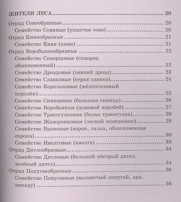 Книга Птицы (Виктория Гетцель) — 3