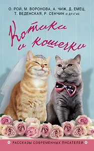 Котики и кошечки