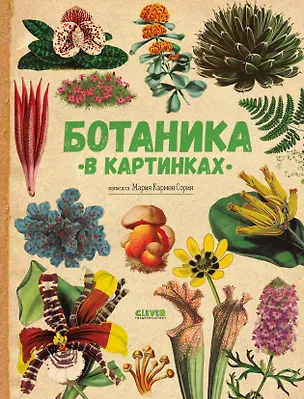 Книга Ботаника в картинках (Кармен Сория)