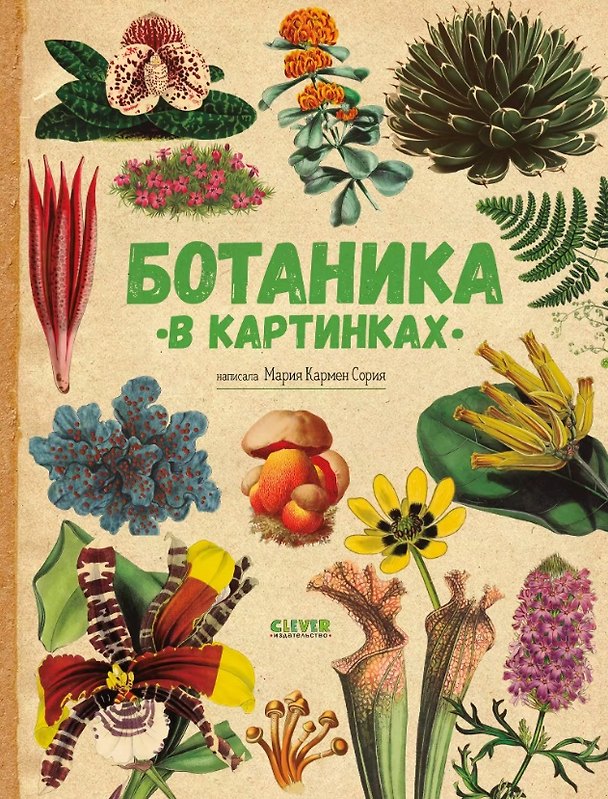 Книга Ботаника в картинках (Кармен Сория) — 1