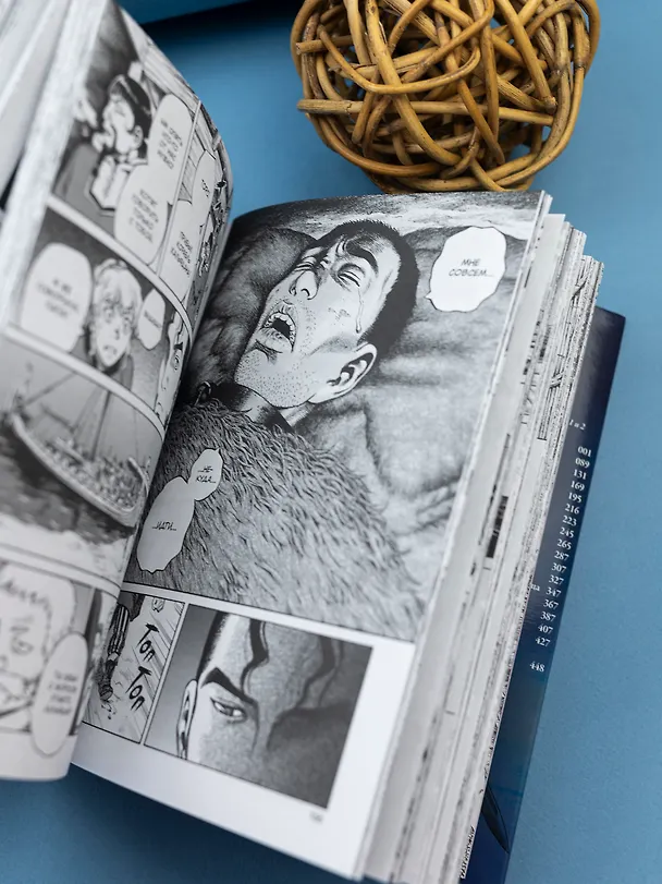 Сага о Винланде. Книга 1 (Том 1, 2) (Vinland Saga). Манга 2800258 — 9